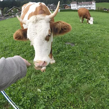 Bergauf With Hot Tub Prázdninový dům *